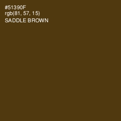 #51390F - Saddle Brown Color Image